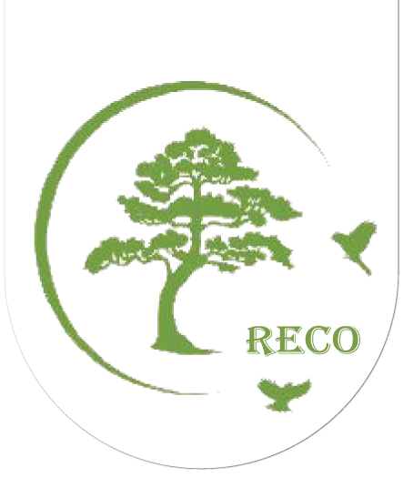 Rakai Environmental Conservation Programme